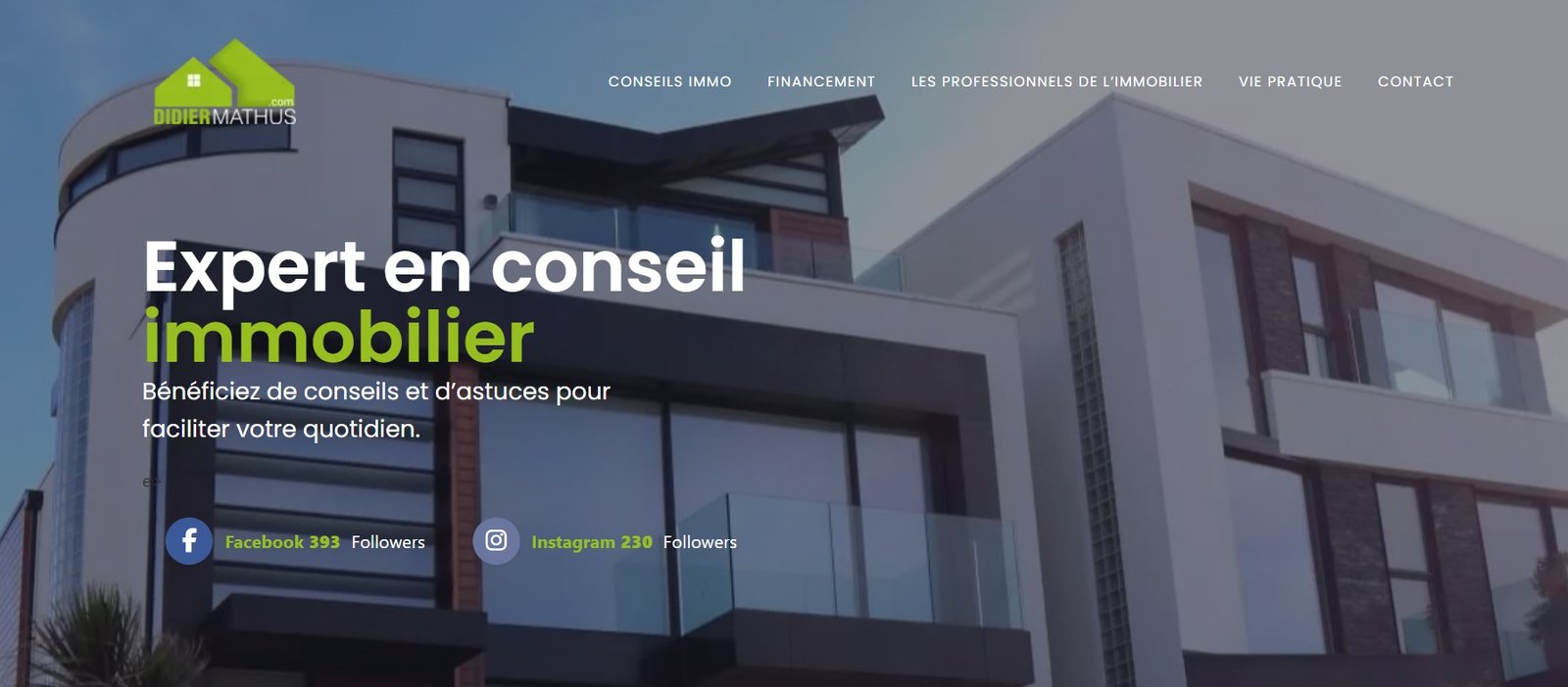 Didier Mathus Immobilier