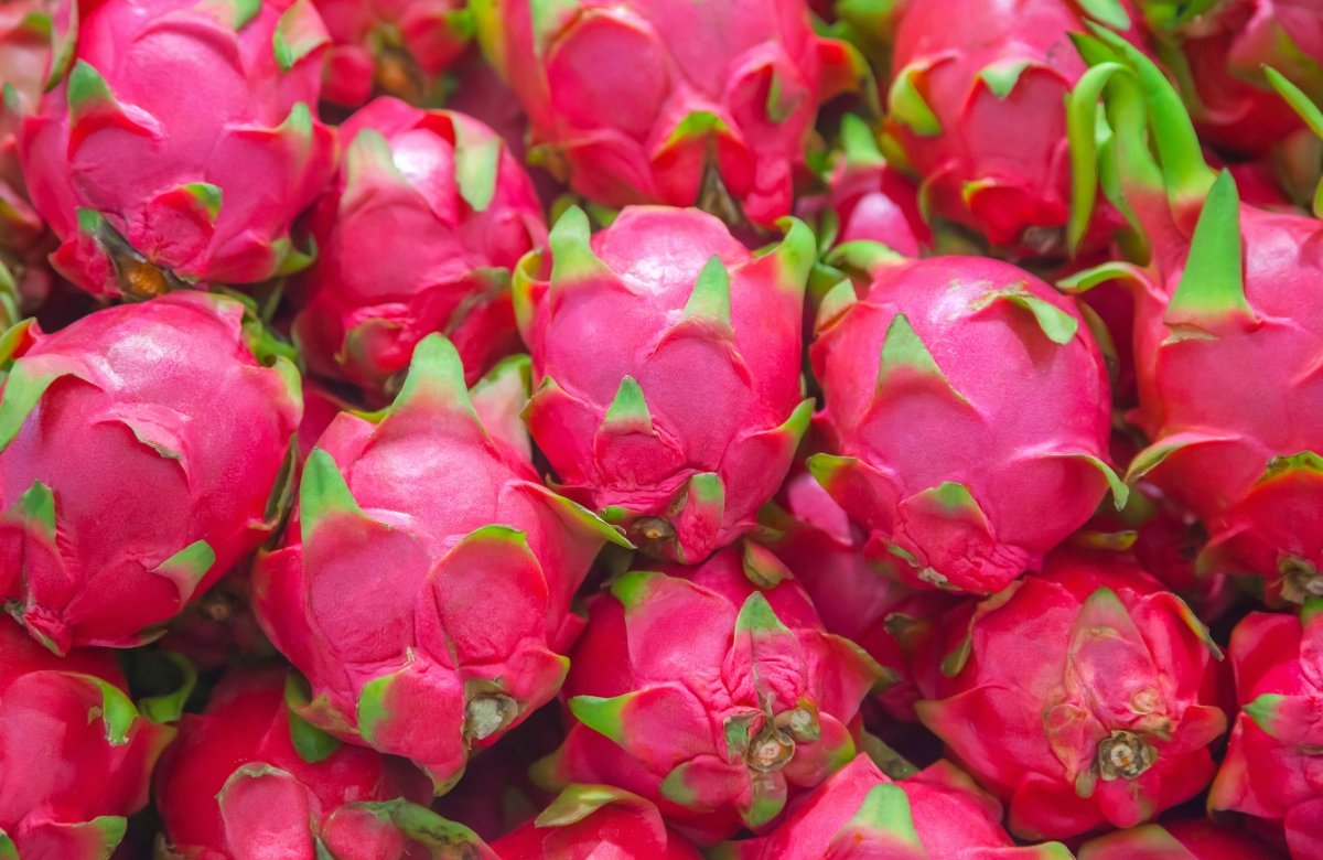 Valeurs nutritionnelles du fruit du dragon